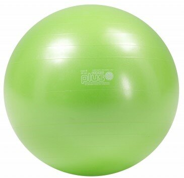 Sitzball - Gymnic Plus|worktrainer.de| dynamische Sitzform |Bewegung| Muskelaktivit&auml;t|rutschfest