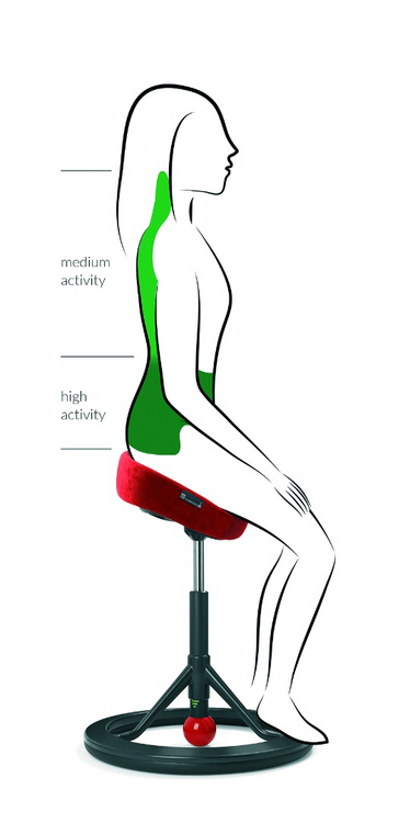 Sattelhocker Back App 2.0| worktrainer.de| R&uuml;ckenmuskeln |aktives Arbeiten| Gesund am Arbeitsplatz| balancieren| 