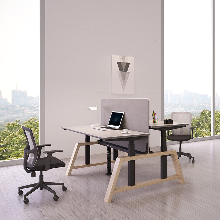 Doppelter Oak Desk Elektrisch h&ouml;henverstellbarer Schreibtisch | Stehen Sie gesund 