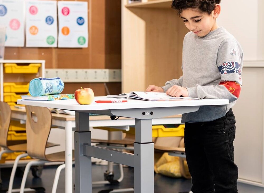 BouncyDesk Wildbirne H&ouml;henverstellbarer Schreibtisch | Bei der Arbeit fit bleiben | Worktrainer.de