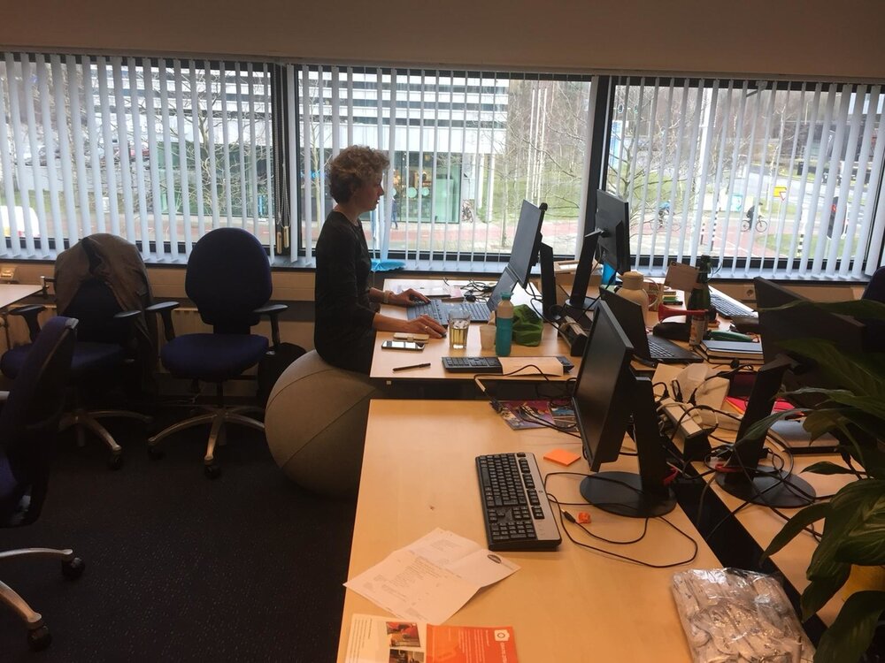 Sitzball Vluv Leiv  Fit mit unseren ergonomische Sitzb&auml;lle am Arbeitsplatz | Worktrainer.de