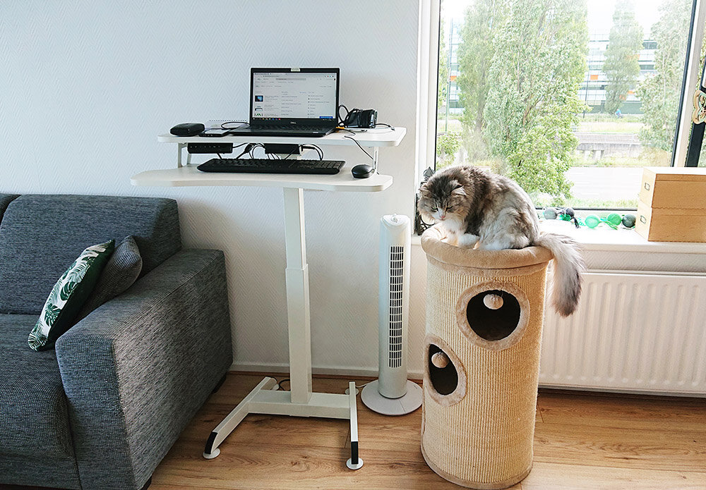 Updesk High H&ouml;henverstellbarer Schreibtisch | Worktrainer.de