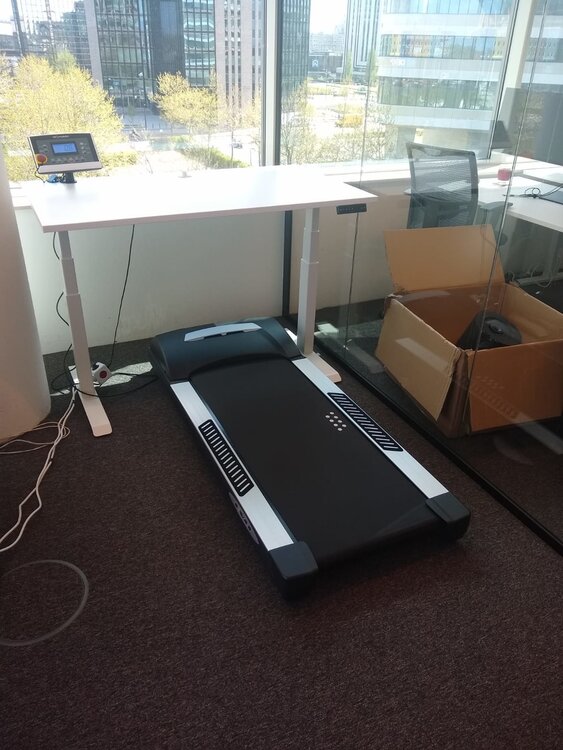 H&ouml;henverstellbarer Schreibtisch SteelForce 670 | Sitzen und stehen Sie gesund auf unserem ergnonomischen Schreibtisch| e