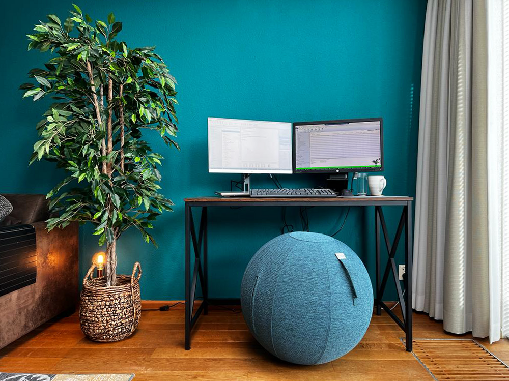 Sitzball - VLUV STOV| | Gesund und aktiv arbeiten| worktrainer.de | K&ouml;rperhaltung | Bewegung |Konzentration| Leistung