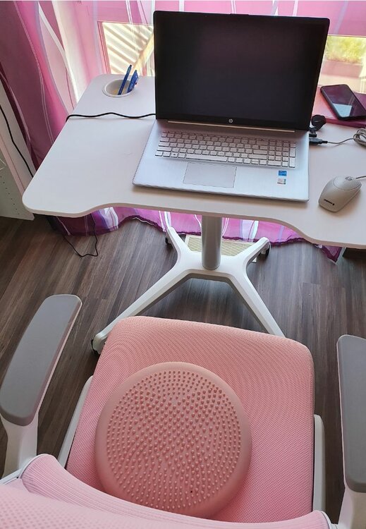 Single Leg Desk H&ouml;henverstellbarer Schreibtisch | Ergonomisch arbeiten | Worktrainer.de