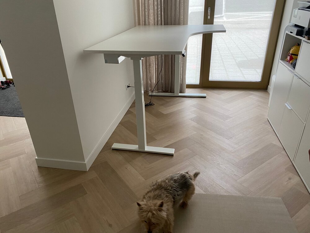 Lumi Sitz-Steh-Eckschreibtisch | Worktrainer