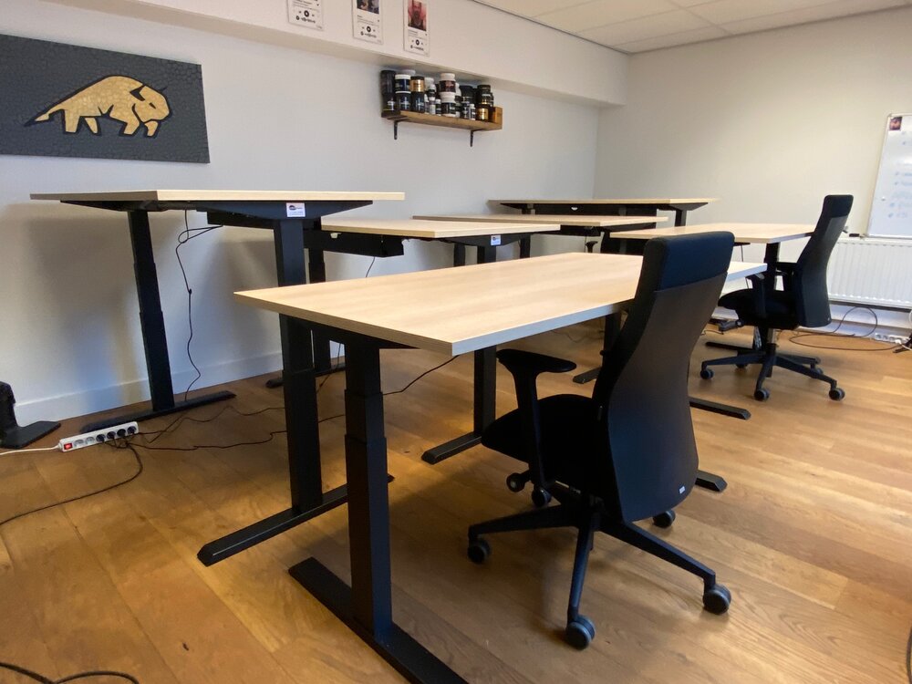 H&ouml;henverstellbarer Schreibtisch SteelForce 670 | Sitzen und stehen Sie gesund auf unserem ergnonomischen Schreibtisch| e