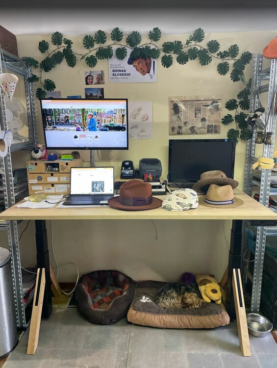 EkkoDesk | H&ouml;henverstellbarer Schreibtisch