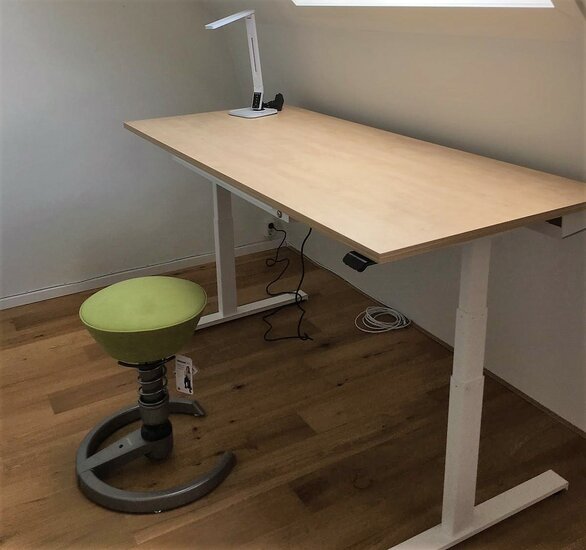 Linak SmartDesk | Sitz-Steh-Schreibtisch | Worktrainer