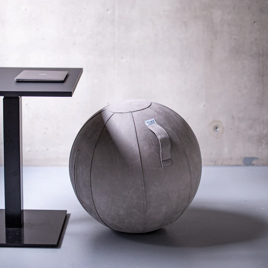 Vluv Vega Sitzball | Worktrainer.de