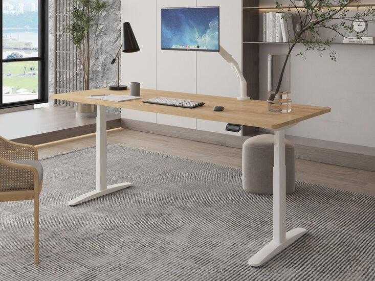 OvalDesk | Elektrischer Steh-Sitz-Schreibtisch | Worktrainer