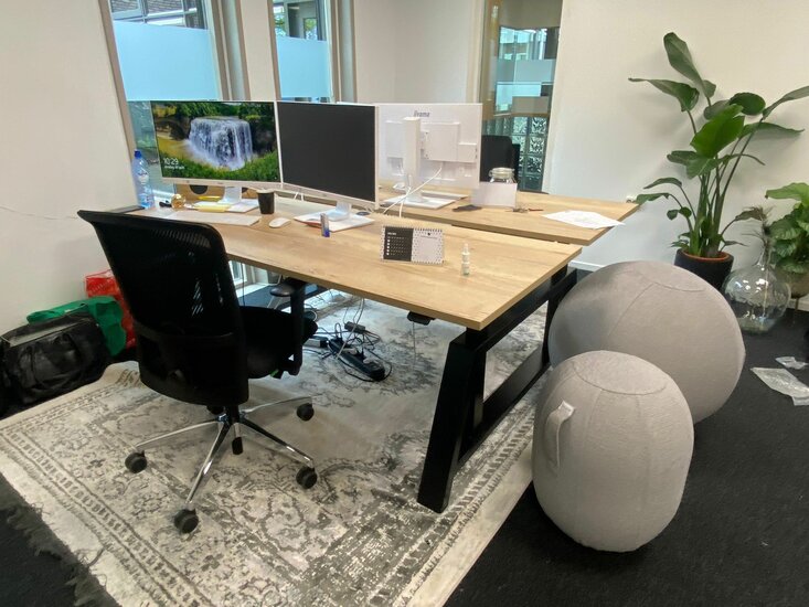 Workbench Oak Desk Elektrisch höhenverstellbarer Schreibtisch | Stehen Sie gesund 