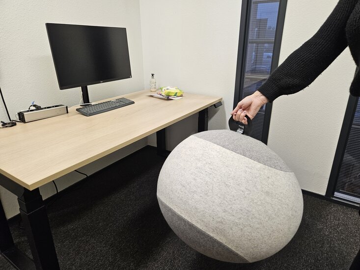 Sphero Sitzball Office ball Worktrainer.de