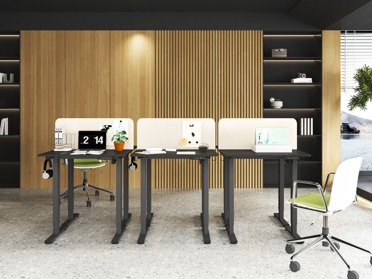 MiniDesk