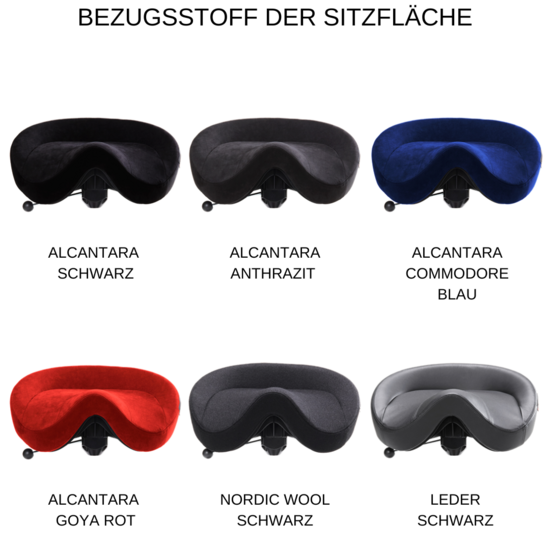 Bezugstoff der Sitzfläche | Back App 2.0