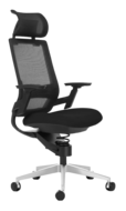 Adaptic Comfort | B&uuml;rostuhl | Worktrainer