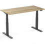 H&ouml;henverstellbarer Schreibtisch SteelForce 670 | Sitzen und stehen Sie gesund auf unserem ergnonomischen Schreibtisch| e