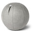 Vluv Vega Sitzball | Worktrainer.de