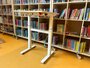 BouncyDesk Wildbirne Höhenverstellbarer Schreibtisch | Bei der Arbeit fit bleiben | Worktrainer.de
