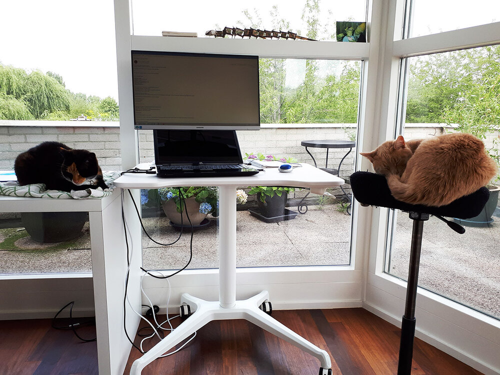 Single Leg Desk | Kleiner Sitz-Steh-Schreibtisch
