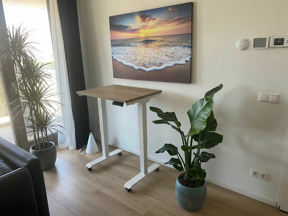 StudyDesk Pro Small | Elektrischer Sitz-Steh-Schreibtisch