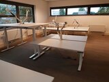 Monitorarm Damian – Gasfeder| Worktrainer| Arm für einen Computerbildschirm| Monitorarm| Monitorhalterung| Bildsc