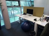 ABS-Sitzball - Togu| Bewegung am Arbeitsplatz| bequemes Sitzen| worktrainer.de| Gleichgewicht| Muskulatur| Ergonomie
