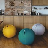 Sitzball Vluv Leiv Atmosphäre  Fit mit unseren ergonomische Sitzbälle am Arbeitsplatz | Worktrainer.de