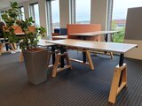Oak Desk Elektrisch höhenverstellbarer Schreibtisch | Stehen Sie gesund hinter unseren ergonomischen Arbeitsplätz