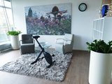 Deskbike 
