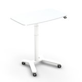 FlexiDesk Sitz-Steh-Schreibtisch | Aktiv arbeiten | Worktrainer.de