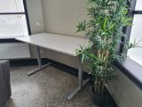 Sitz-Steh-Schreibtisch SteelForce 210 - Handkurbel| worktrainer| worktrainer.de | Deskbike