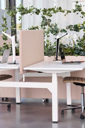 ScreenIT Air | Trennwand Sitz-Steh-Schreibtisch
