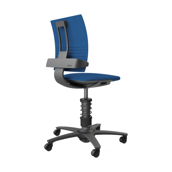 Aeris 3Dee | Active Office Chair
