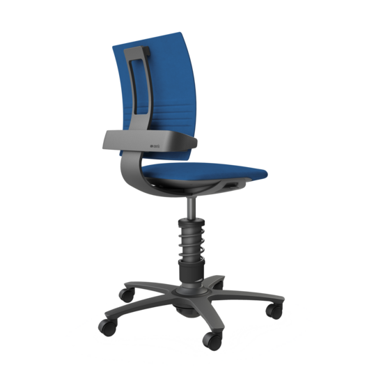 Aeris 3Dee | Active Office Chair