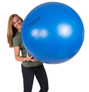 ABS-Sitzball - Togu| Bewegung am Arbeitsplatz| bequemes Sitzen| worktrainer.de| Gleichgewicht| Muskulatur| Ergonomie
